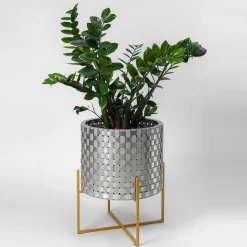 Aria Argento Cachepot