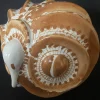 Bottiglia Civetta in ceramica bianca e arancione