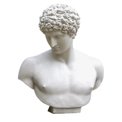 Busto di Antinoo in Gesso Bianco