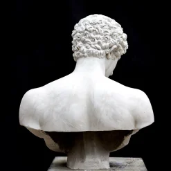Busto di Antinoo in Gesso Bianco