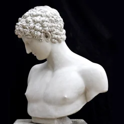 Busto di Antinoo in Gesso Bianco