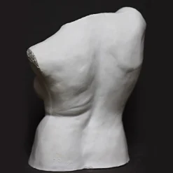 Busto di Incanto di Raffaello Romanelli