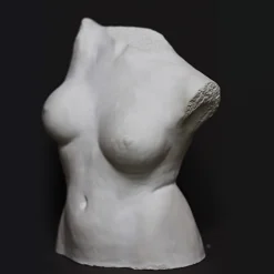 Busto di Incanto di Raffaello Romanelli