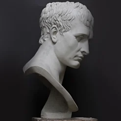 Busto di Napoleone