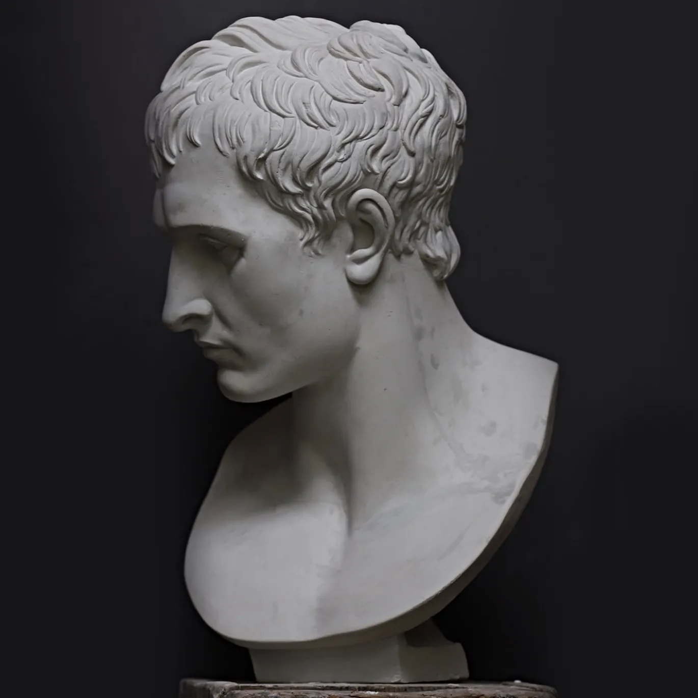 Busto di Napoleone