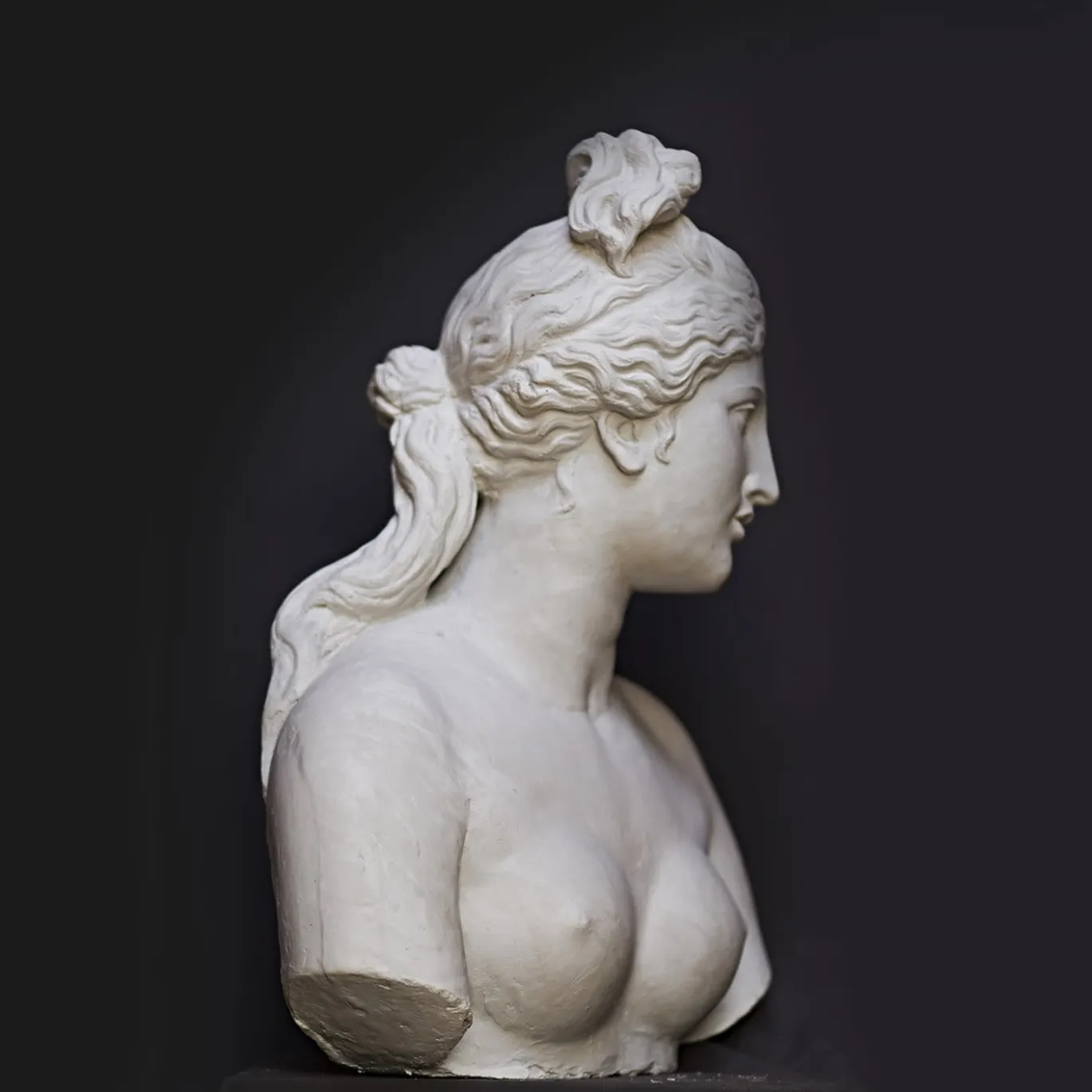 Busto di Venere Capitolina