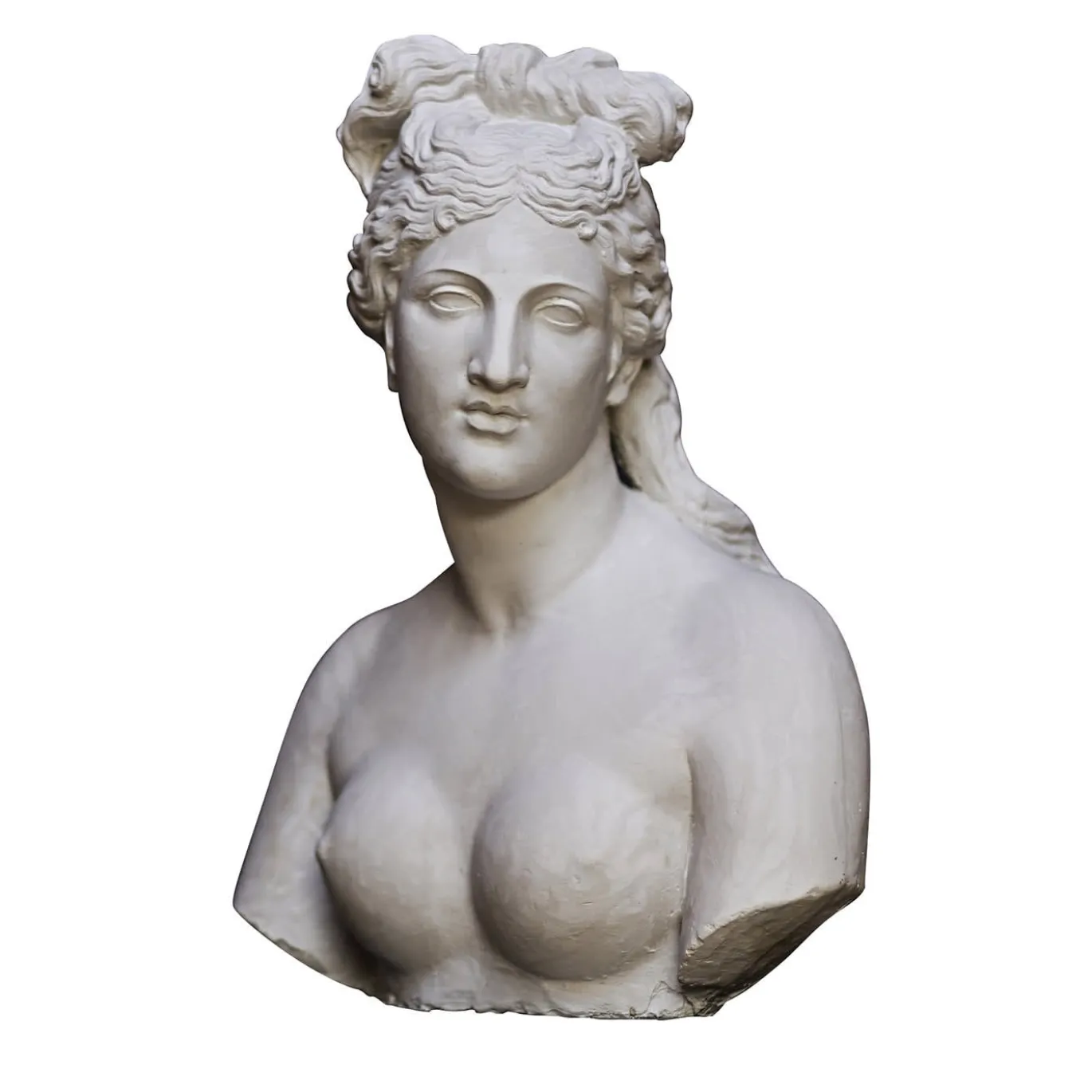 Busto di Venere Capitolina