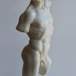 Busto Maschile in Marmo Bianco