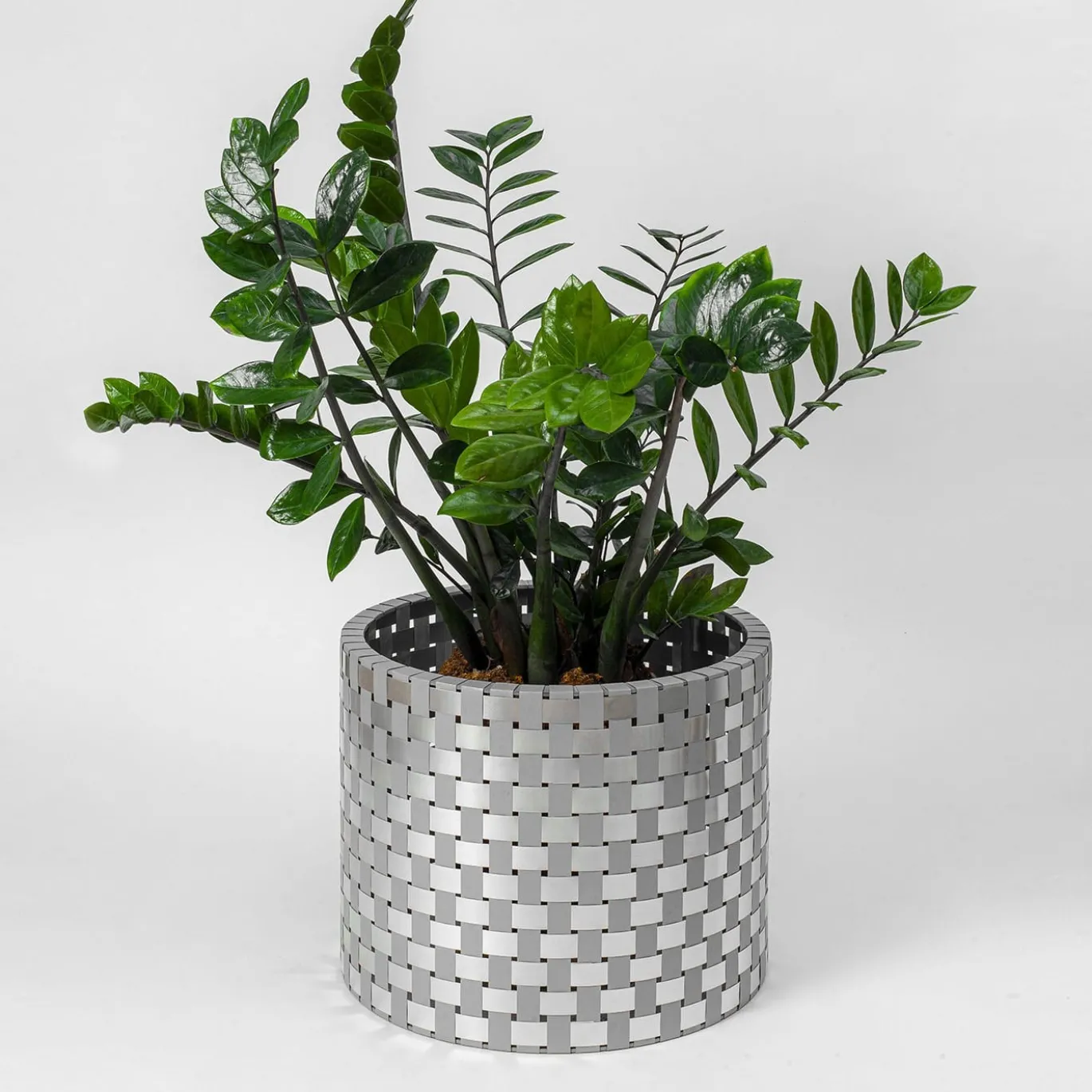 Cachepot Terra Silver