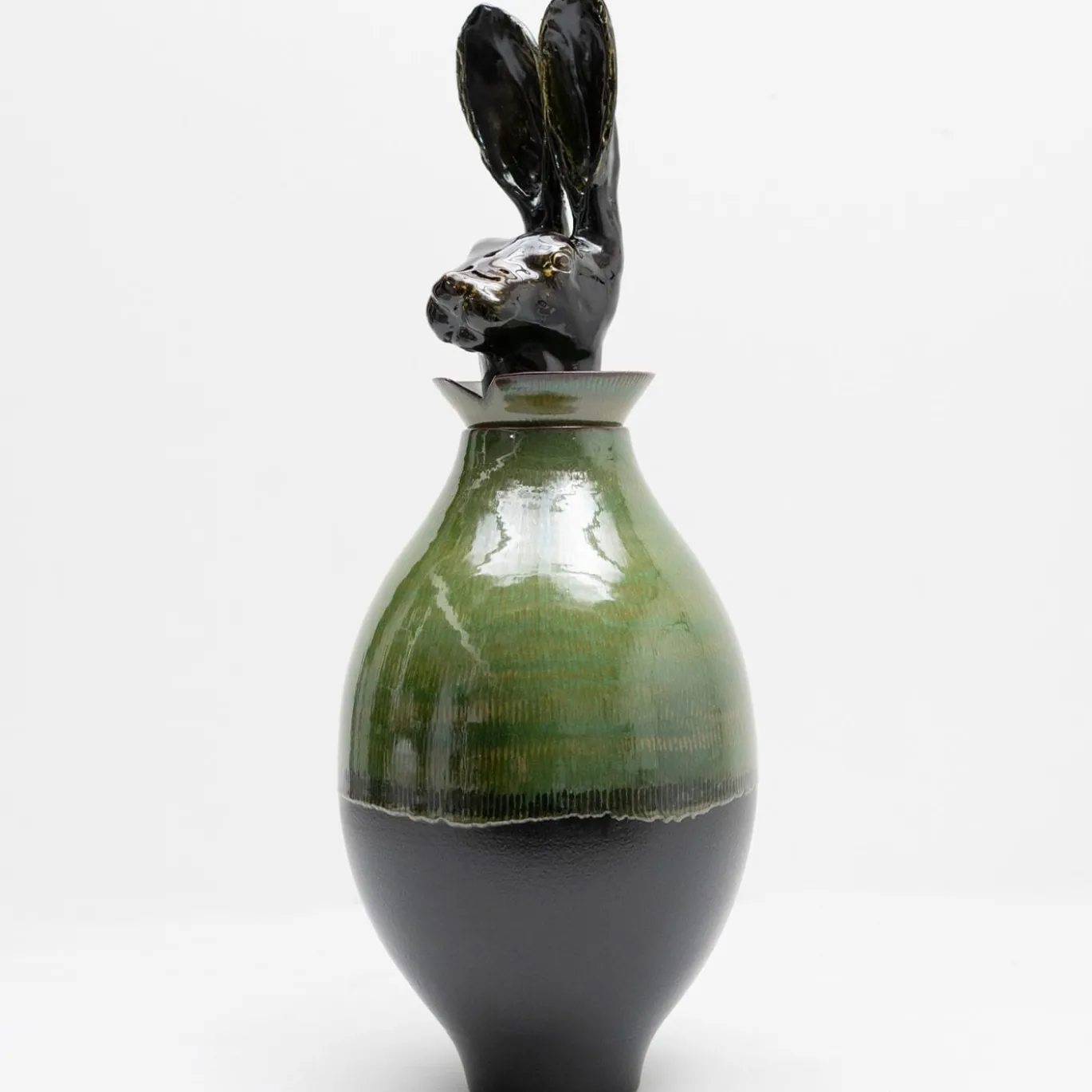 Canopo Lepre Vaso XL nero e verde