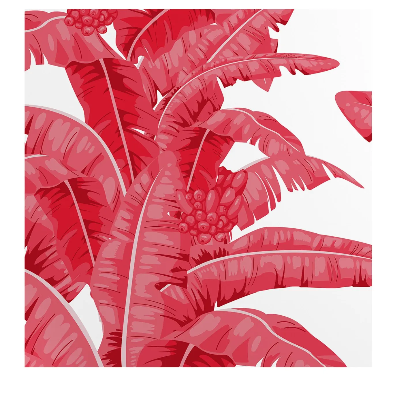 Carta da parati a foglie di palma tropicale in rosso e bianco