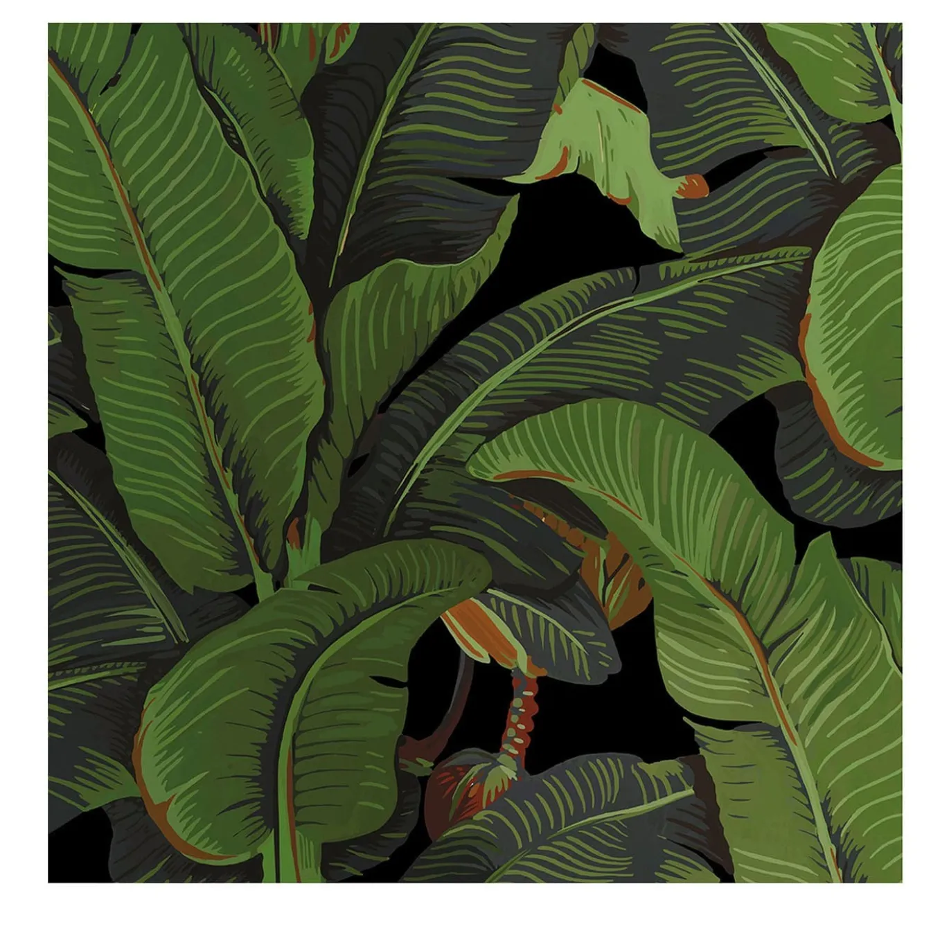 Carta da Parati Tropicale Nera e Verde con Foglie di Banano