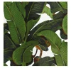 Carta da Parati Tropicale Verde e Bianca con Foglie di Banano