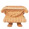 Cassetta Piedi Di Leone