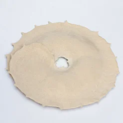 Centrotavola in ceramica smaltata avorio Ossa trigonella radiata
