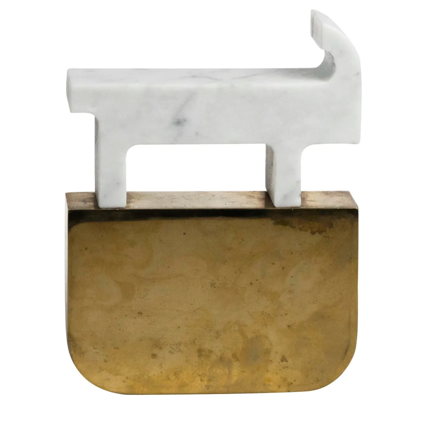 Cervo Fossili