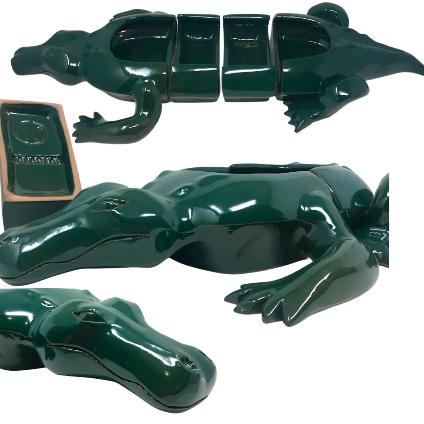 Ciotola coccodrillo verde a 4 pezzi