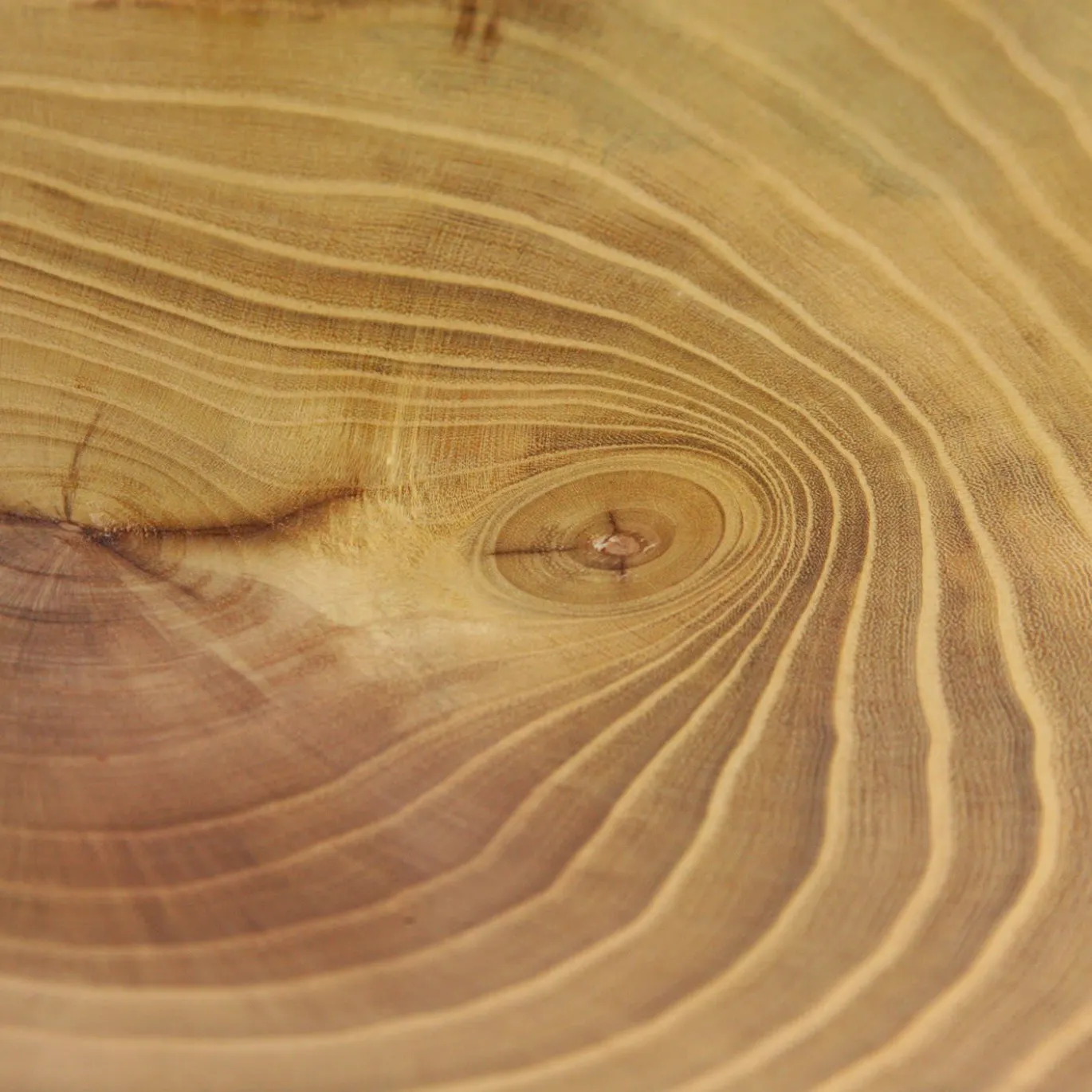 Ciotola in robinia