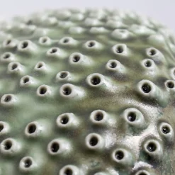 Ciotola Oceano Verde in Porcellana