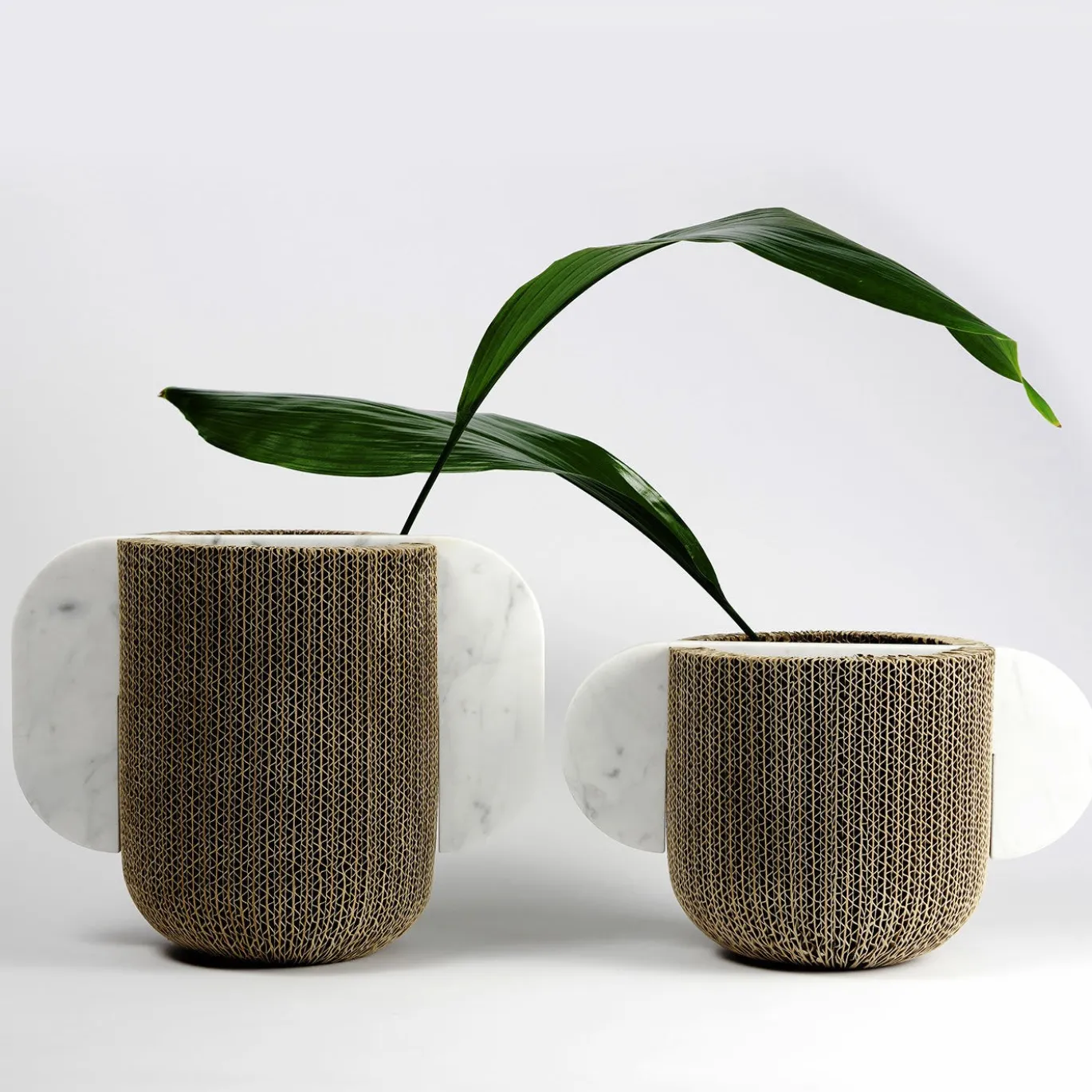 Confinare il vaso n. 1