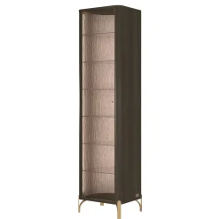 Credenza in vetro con porta singola e illuminazione a LED