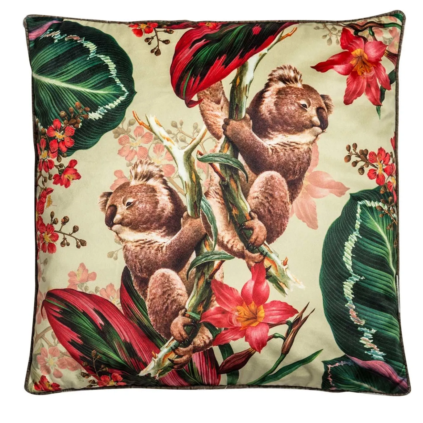 Cuscino in velluto Animalia con Koala e fiori rosa