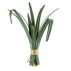 Hortus Foglie di lemongrass
