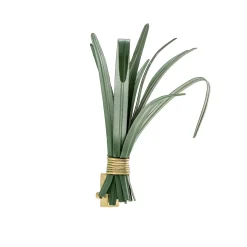 Hortus Foglie di lemongrass