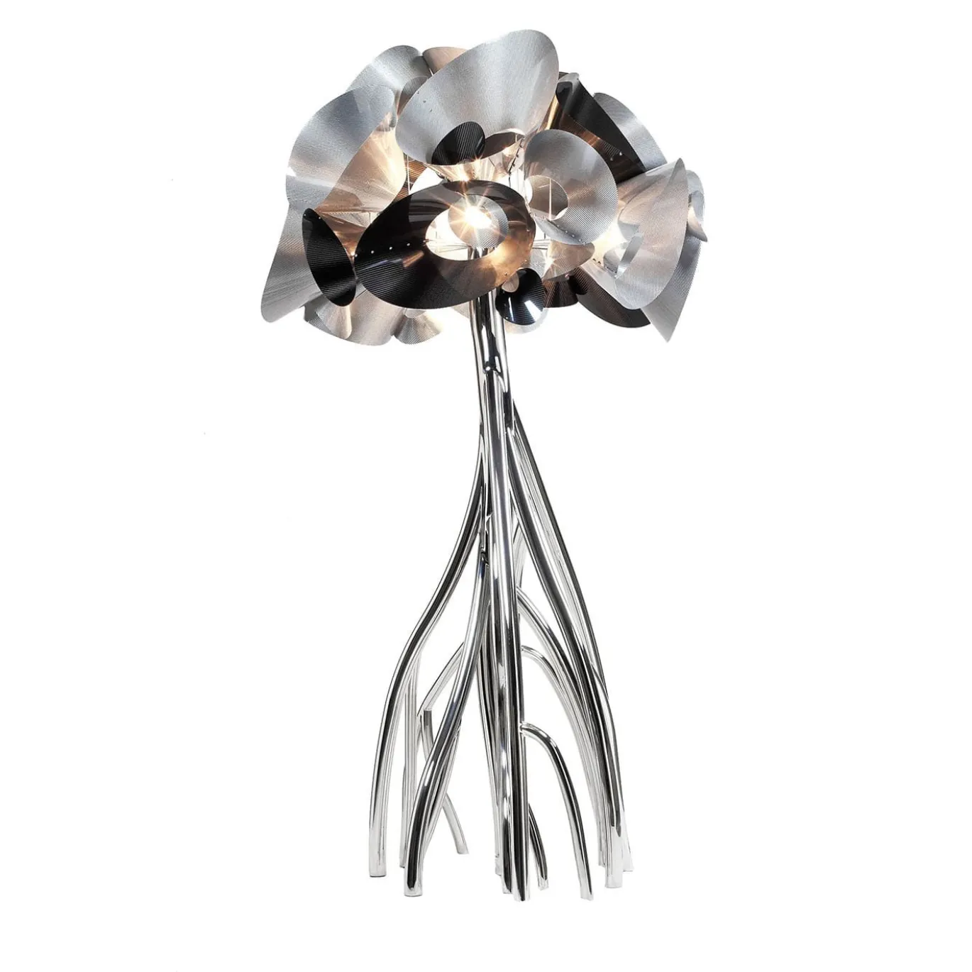Lampada Mangrovia Em Flor