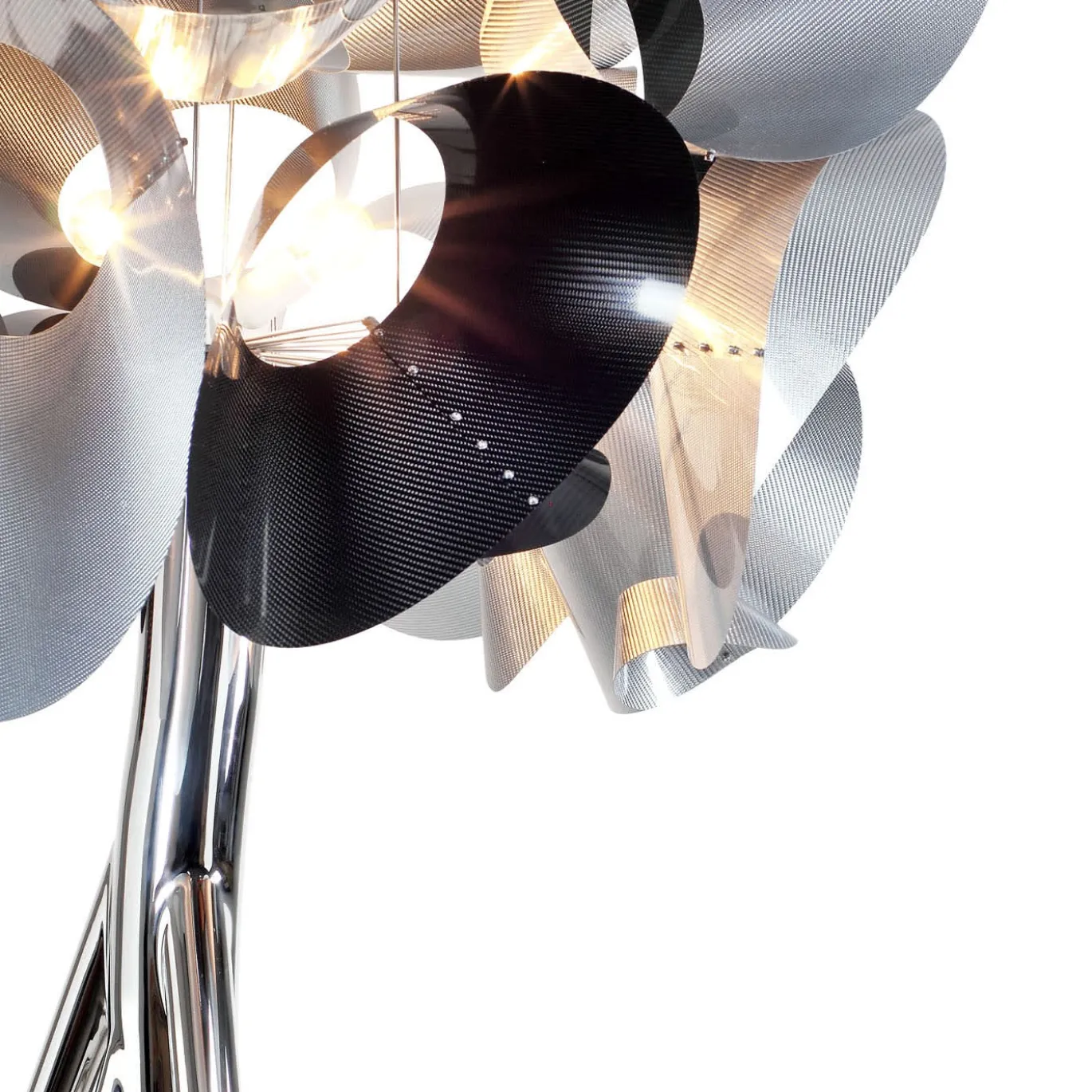 Lampada Mangrovia Em Flor