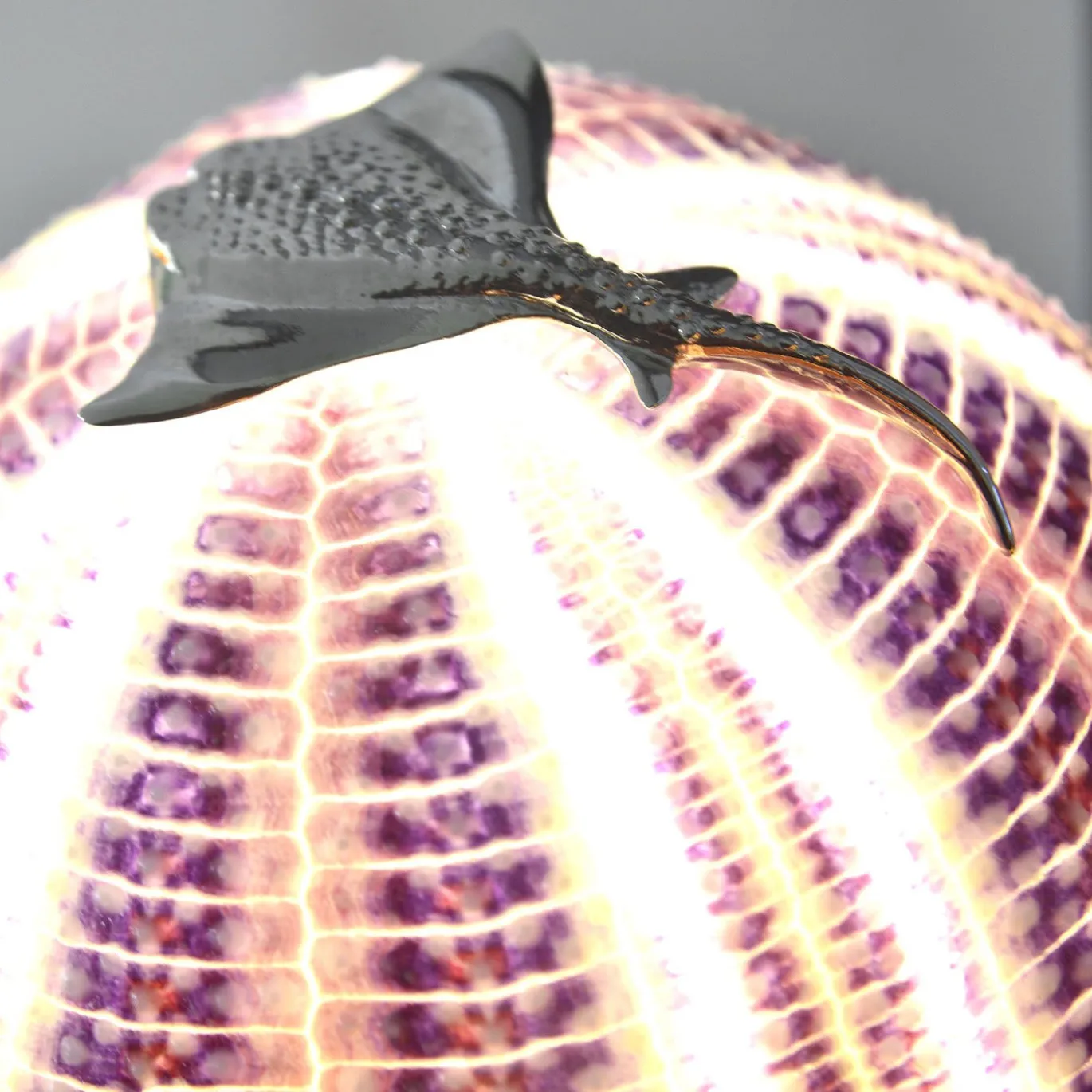 Lampada Rich-O Manta Fish