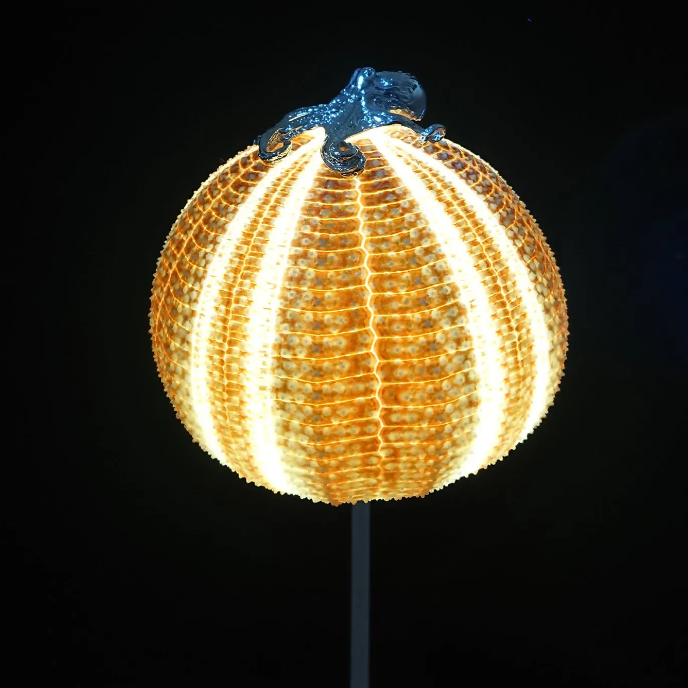 Lampada Rich-O Polpo