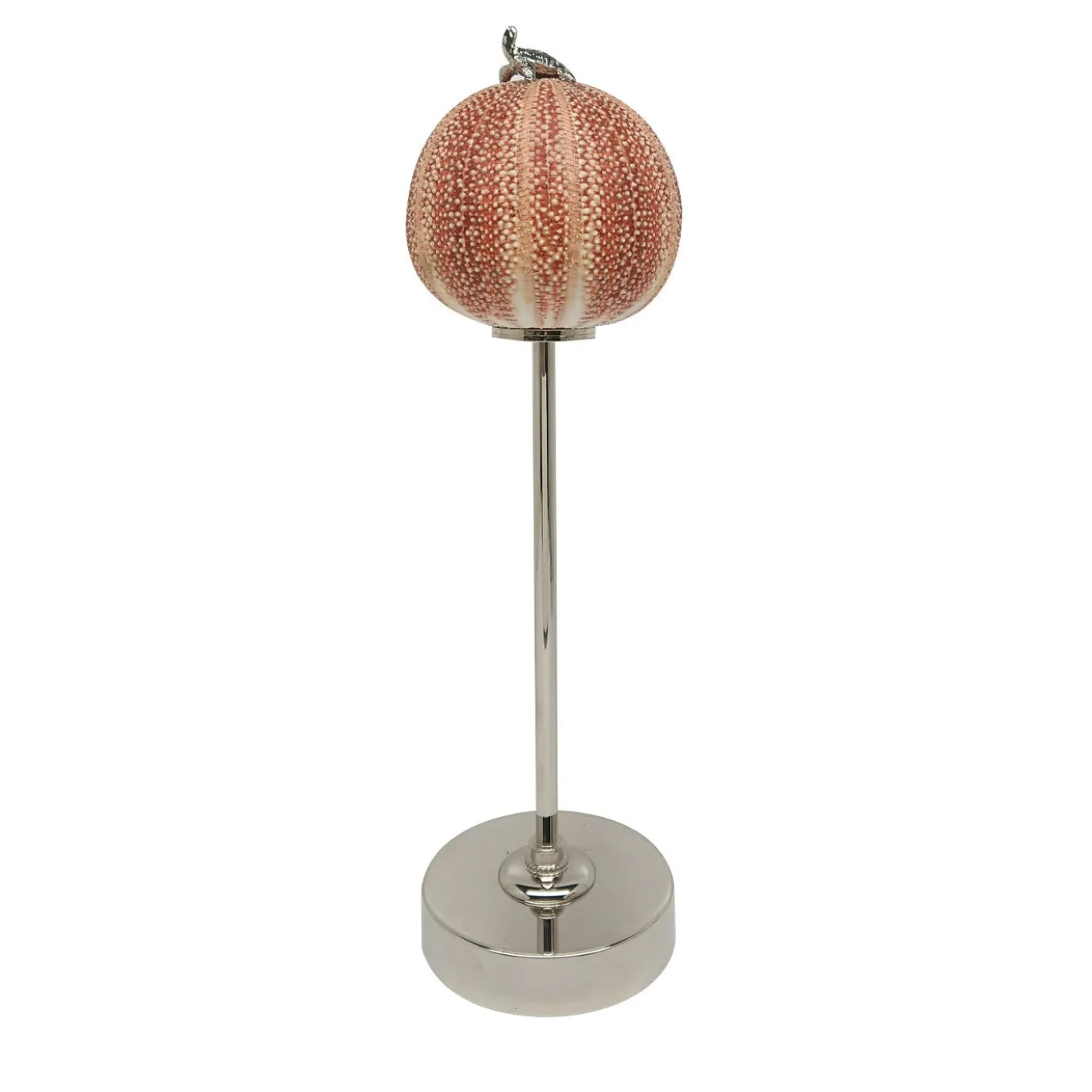 Lampada Rich-O Tartaruga