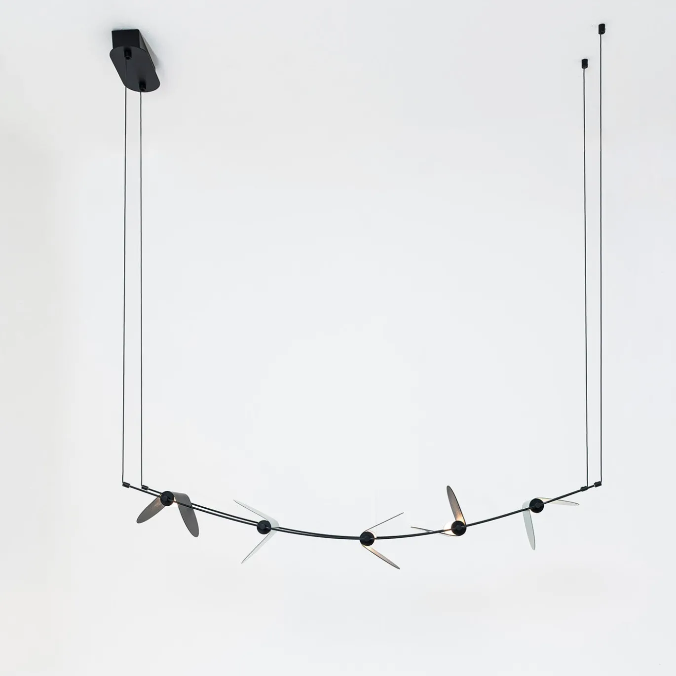 Lampadario Curvo Ali di Luce Nero e Verde