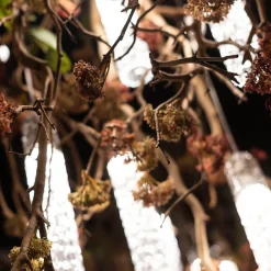 Lampadario Flower Power Manzanita