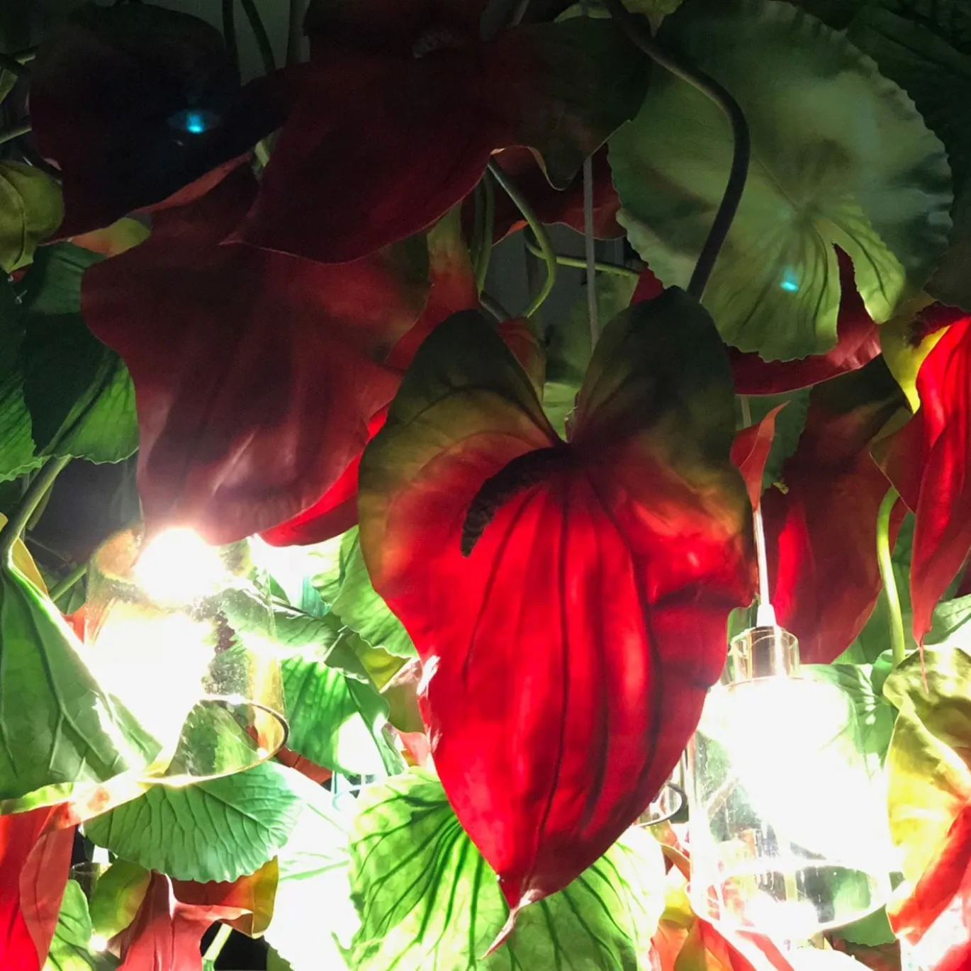 Lampadario Flower Power Red Anthurium