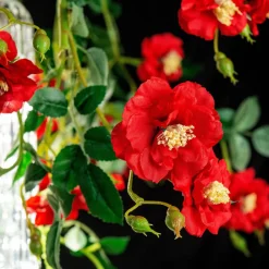 Lampadario grande rotondo Flower Power Wild Red Roses