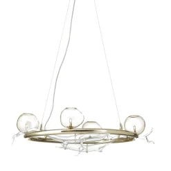 Lampadario organico