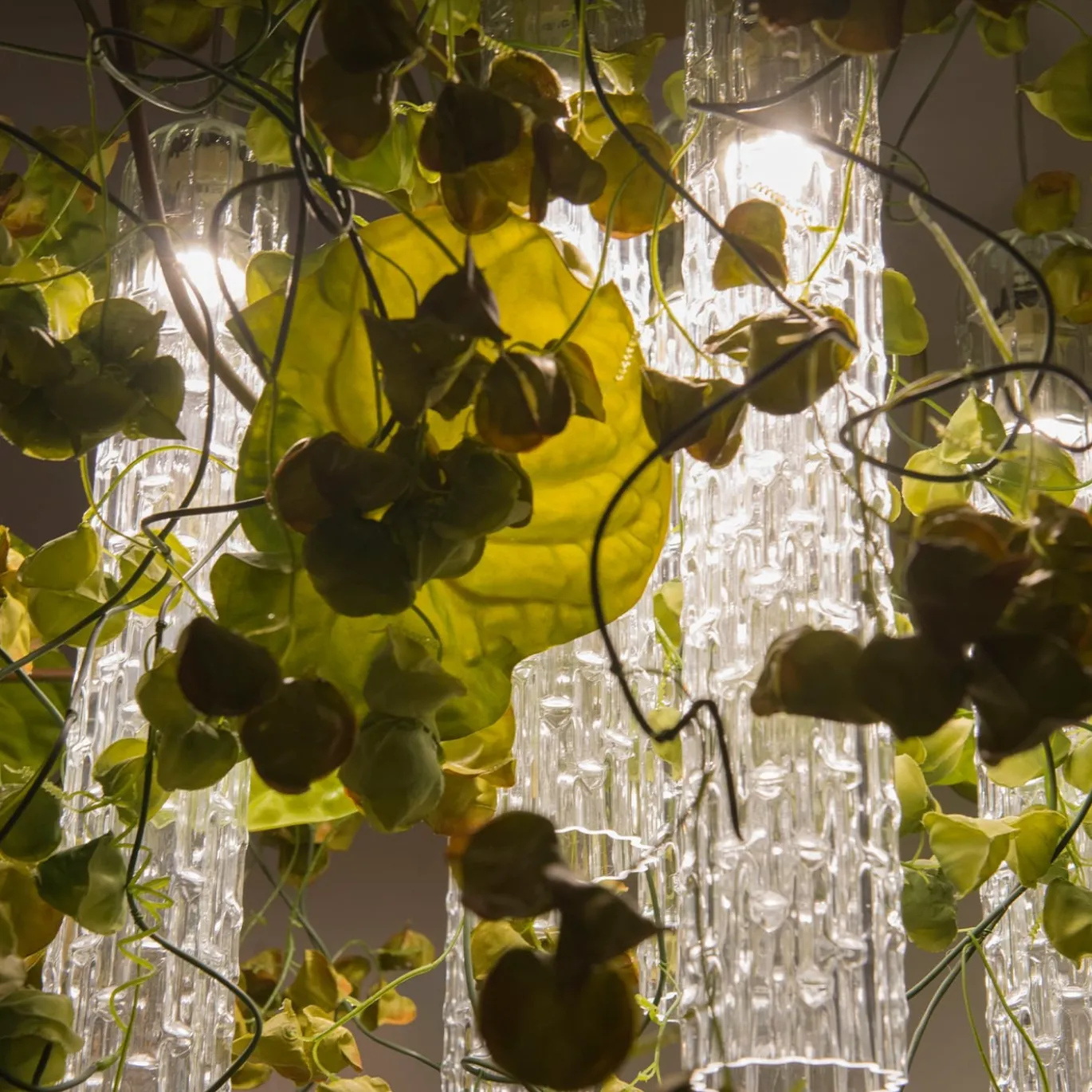 Lampadario quadrato grande Flower Power Physalis & Anthurium
