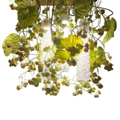 Lampadario quadrato grande Flower Power Physalis & Anthurium