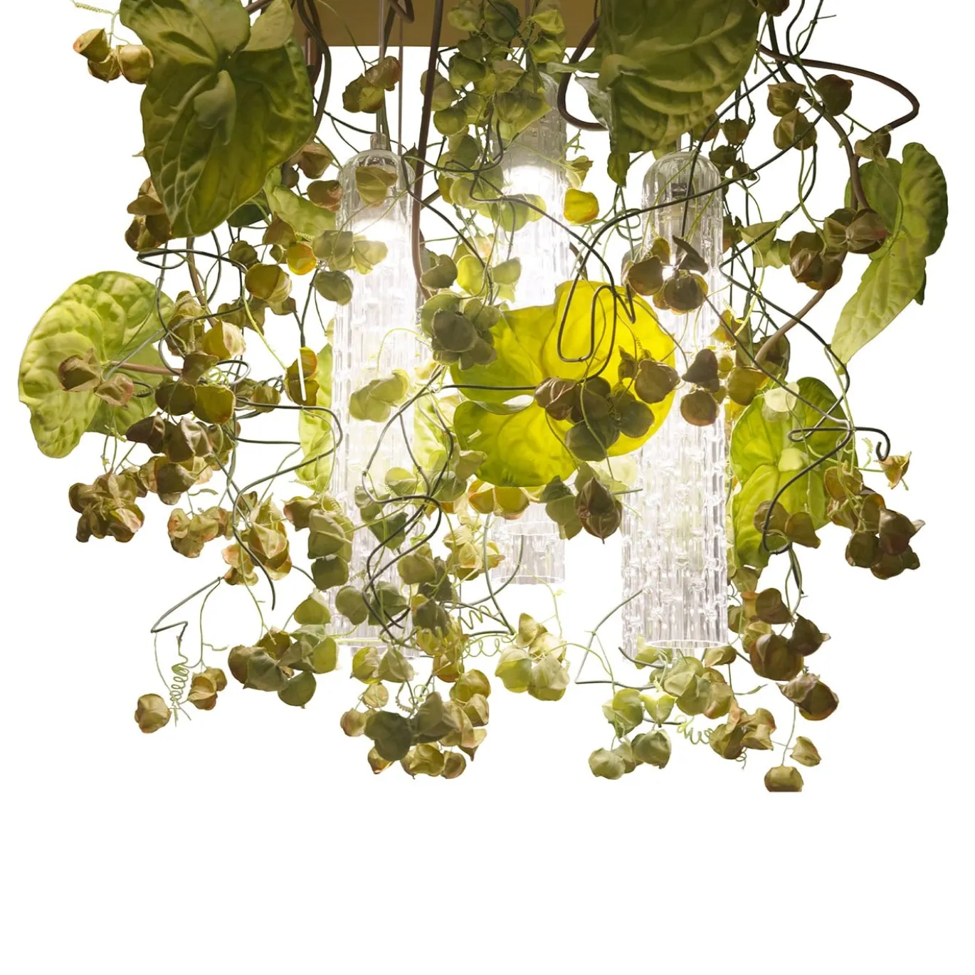 Lampadario quadrato grande Flower Power Physalis & Anthurium