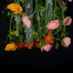 Lampadario rotondo Flower Power Poppy