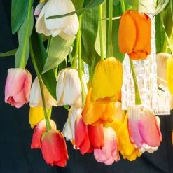 Lampadario rotondo Flower Power Tulip Maxi
