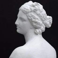La scultura della Venere De' Medici
