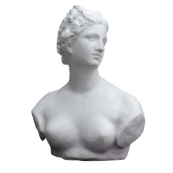 La scultura della Venere De' Medici