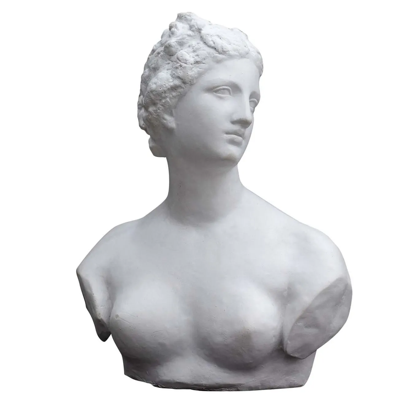 La scultura della Venere De' Medici