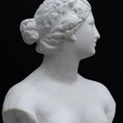 La scultura della Venere De' Medici