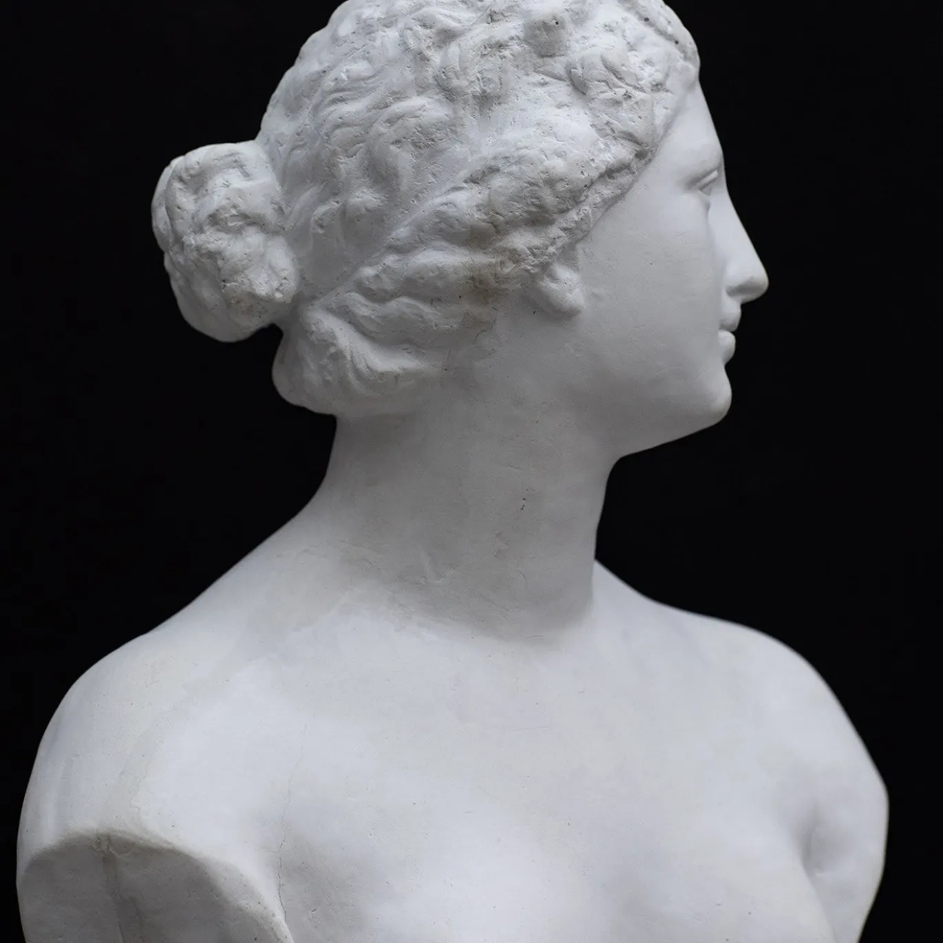 La scultura della Venere De' Medici