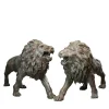Leoni coppia di Sculture in Bronzo