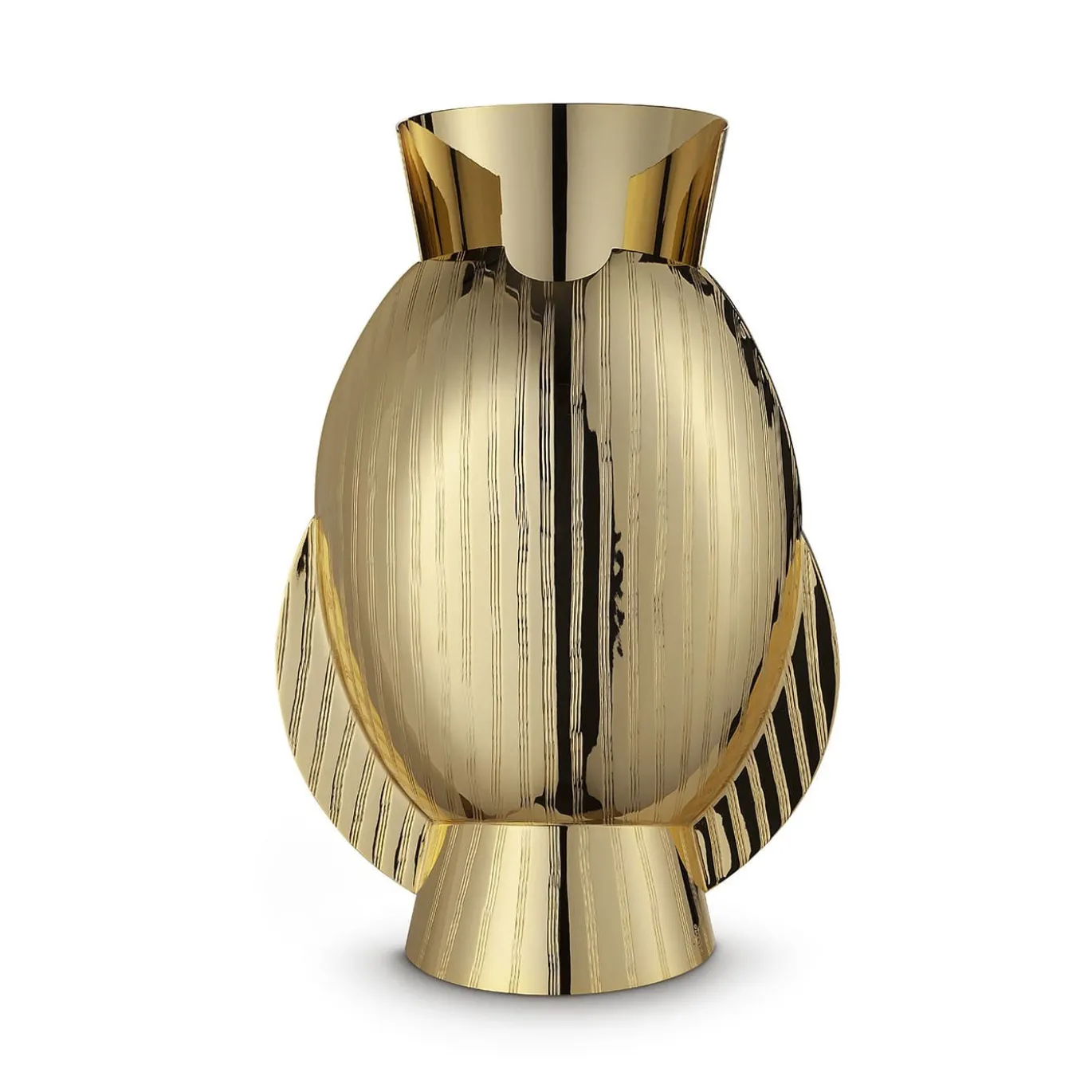 Lumaca Vaso d'oro con bordo